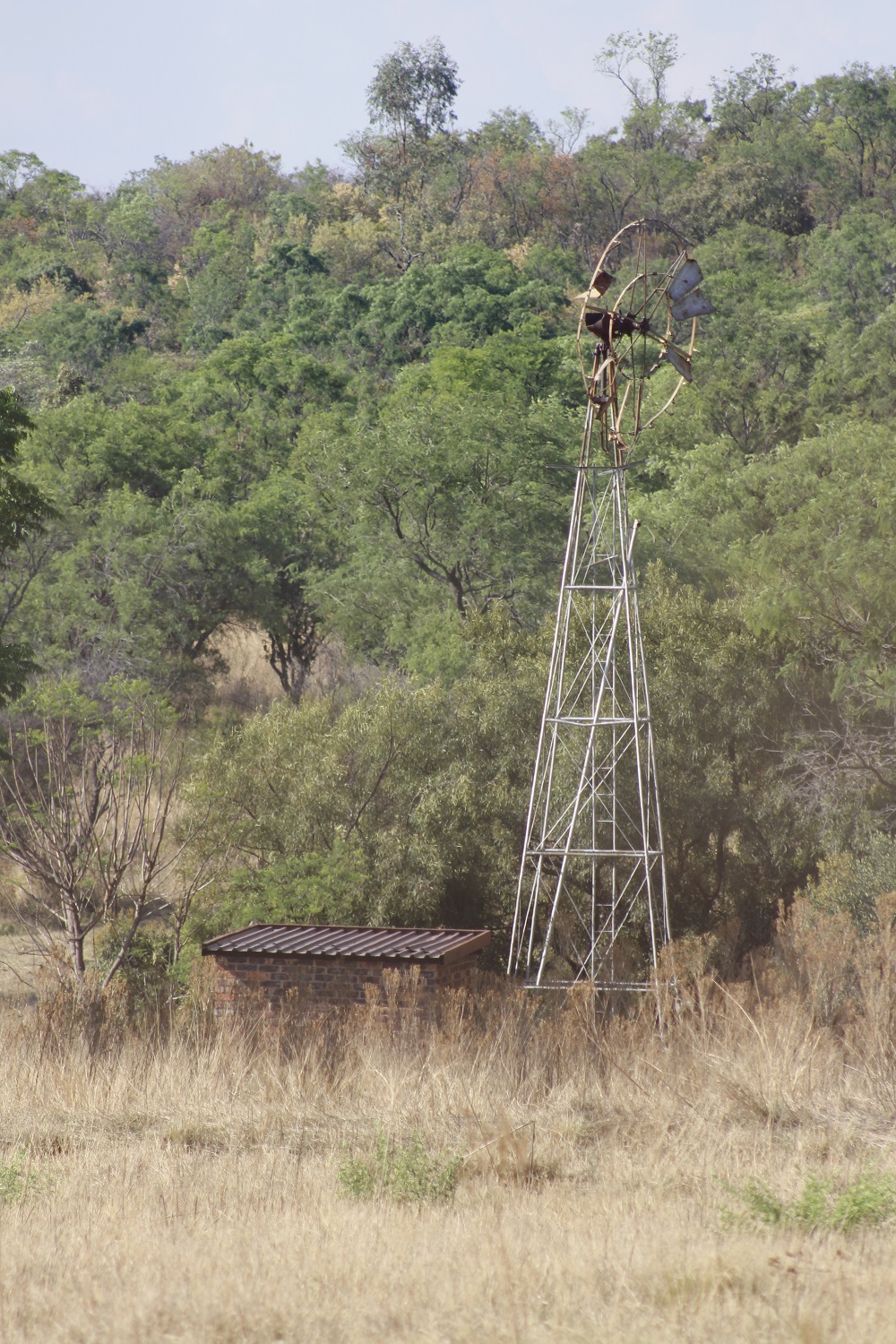 What an Old Windmill Taught Me About Remembering the Value of the Past